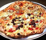 STACY LOGAN HOLIDAY EVENT